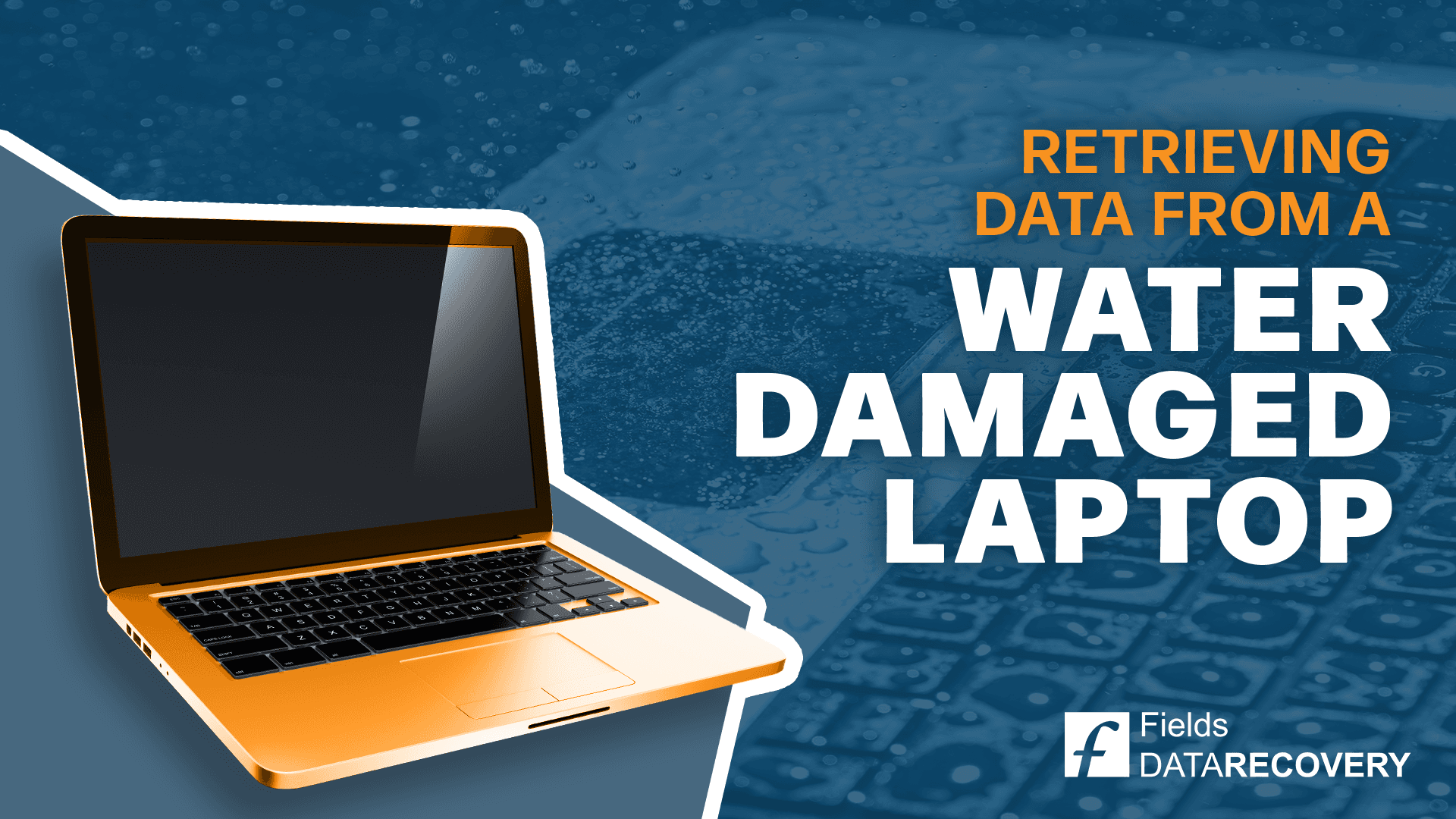 The Ultimate Guide To Retrieving Data From A Water Damaged Laptop